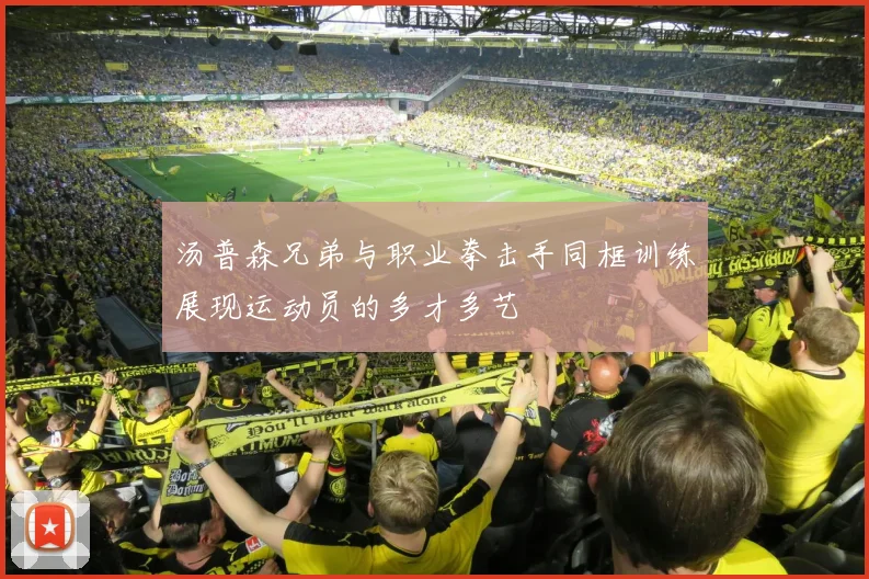 汤普森兄弟与职业拳击手同框训练展现运动员的多才多艺